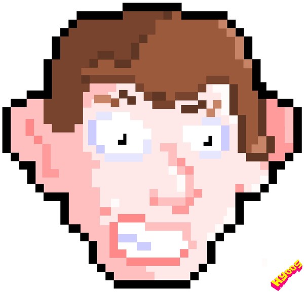 8 bit head