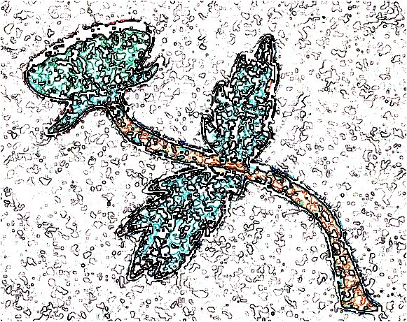 Fleurs 046