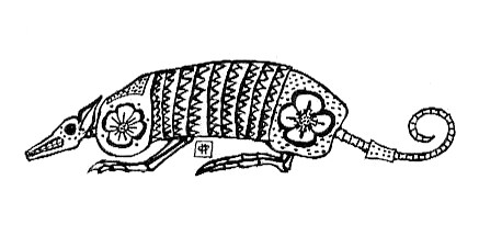 Armadillo