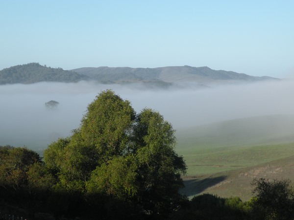 Hicks valley