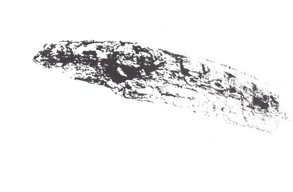 ink drawing 16