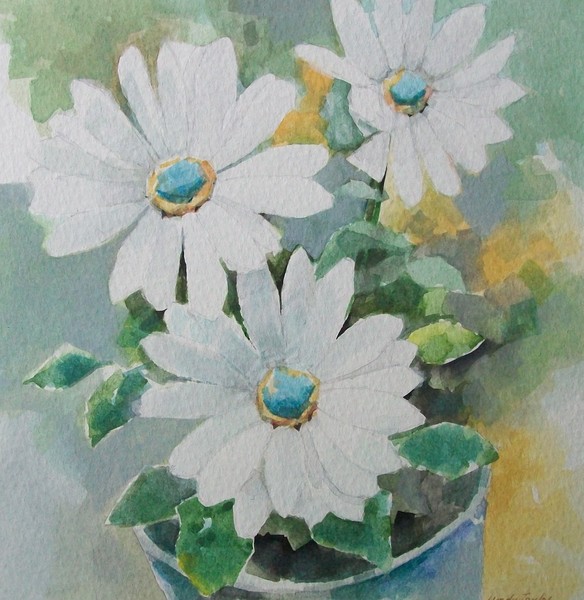 Daisies in a Tin Pot.