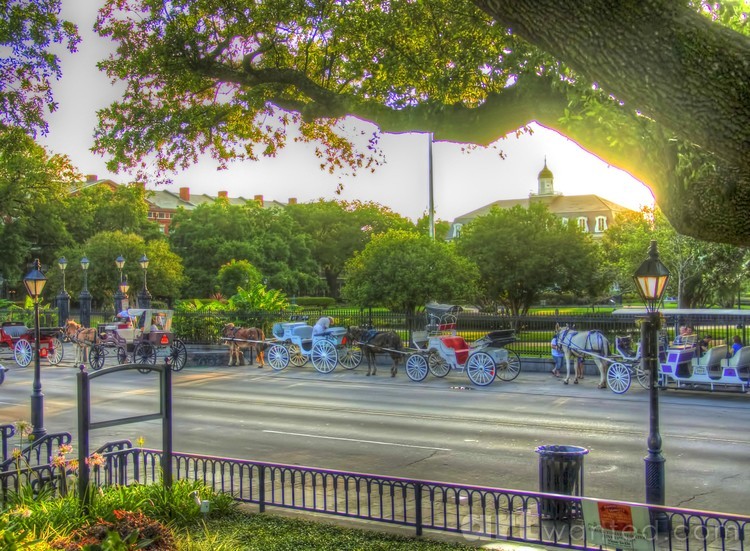 Lineup at Jackson Square