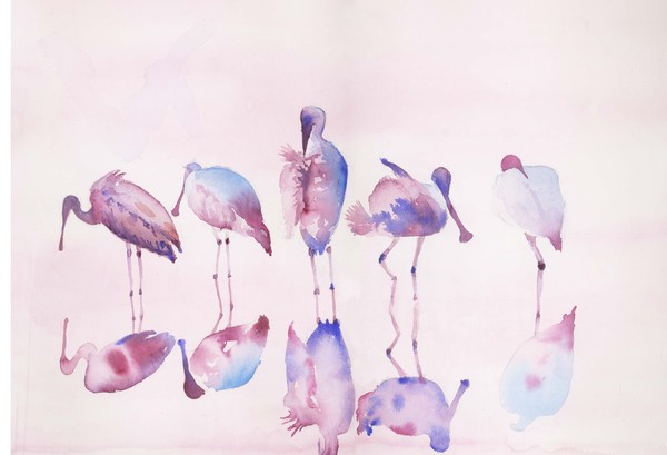 Spoonbill Reflection