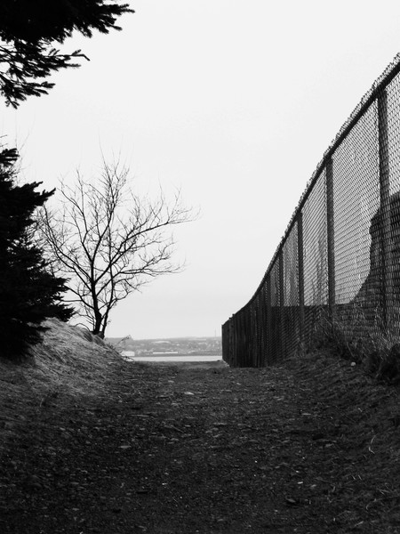 Fence of Life