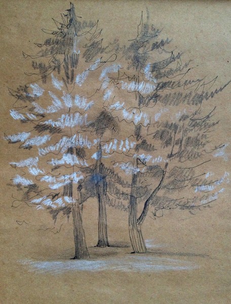 trees