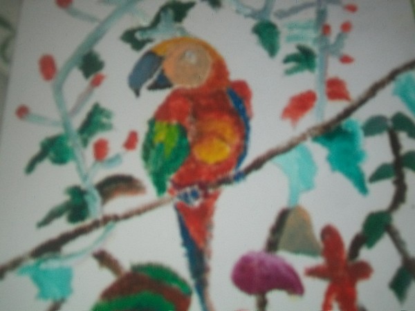 parrot