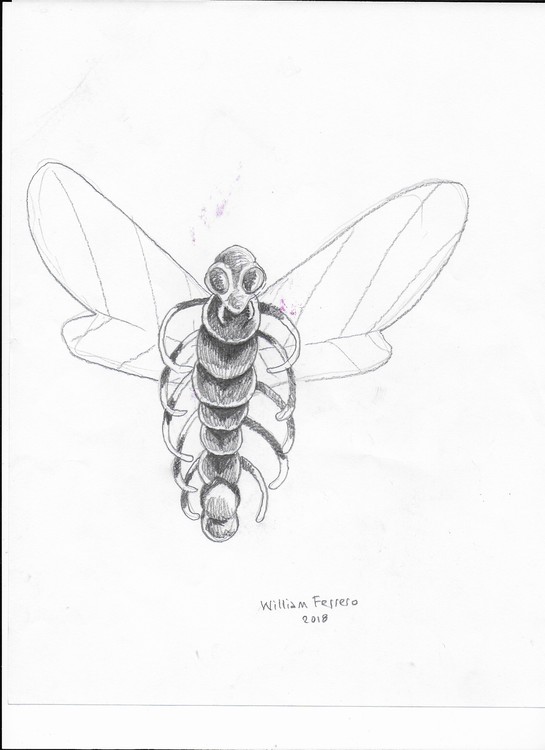40- Bug 001
