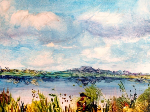 Wetlands