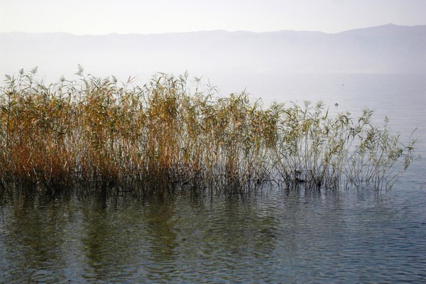 lake Ohrid