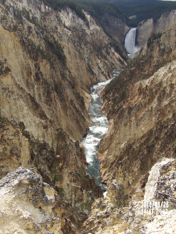 08 26 16 Yellowstone NP (51) Lower Falls