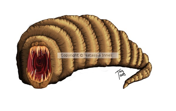Experimental Smudge Worm