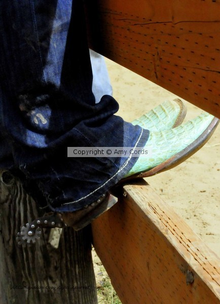 Cowgirl Boots