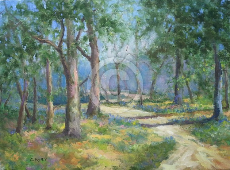 Bluebells-Pontmain, France