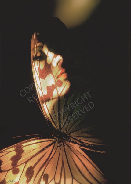 (01) Madam Butterfly