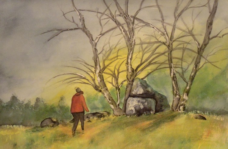 Possible Iron age grave