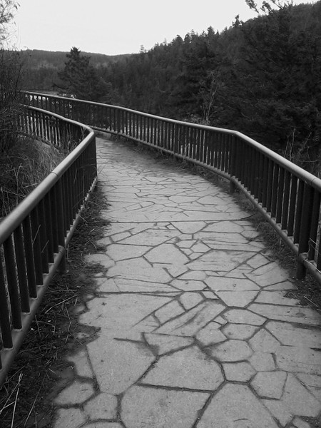 Stone Path
