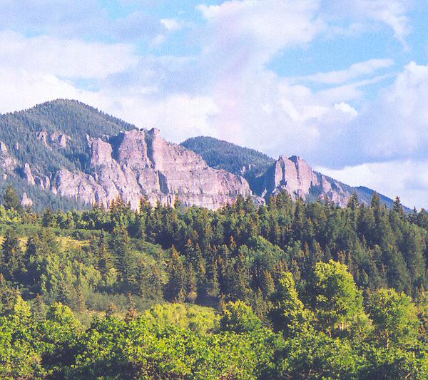 Nature's Cathedral