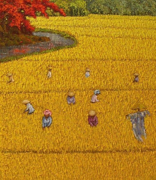 Harvest 11