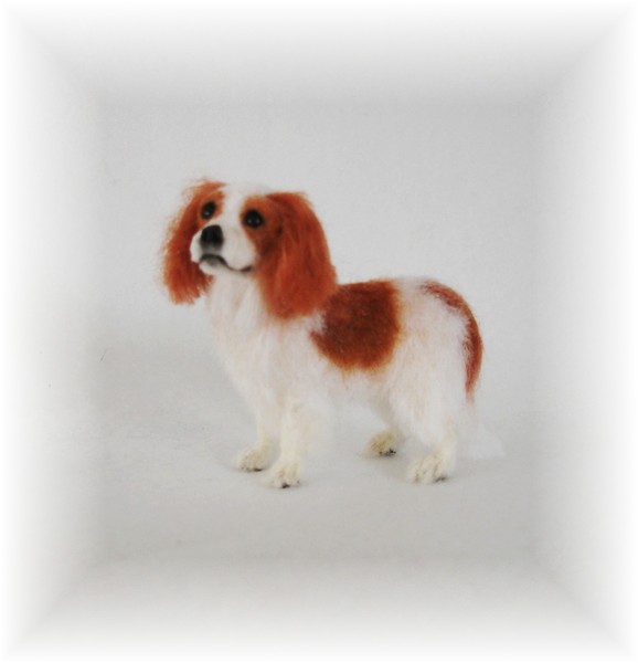 Cavalier King Charles Spaniel