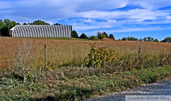 Off Road Shed