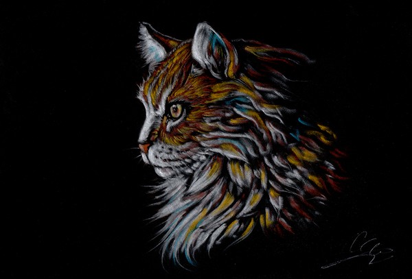 Cittecat