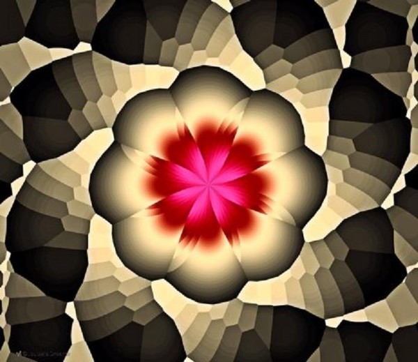 Flower______