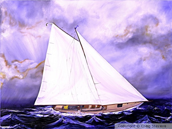 Dove in Storm