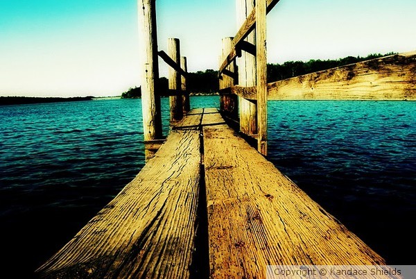 Road to Life