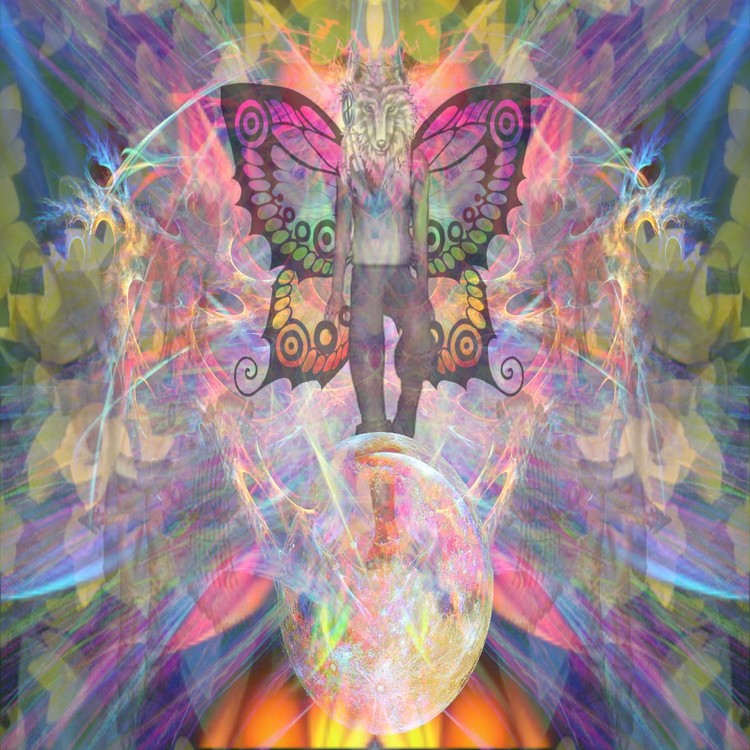 ButterflyWolfMoon