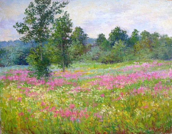 Purple field