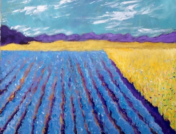 Cabbage field 