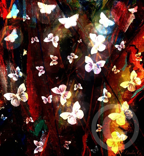 Butterflies in the Dark Woods