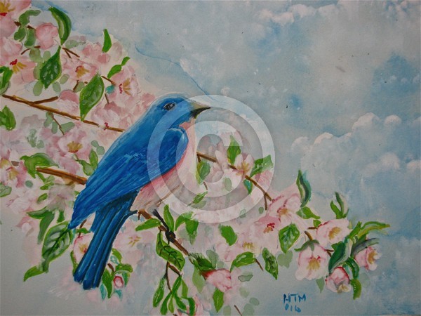 Thoughts of Spring 