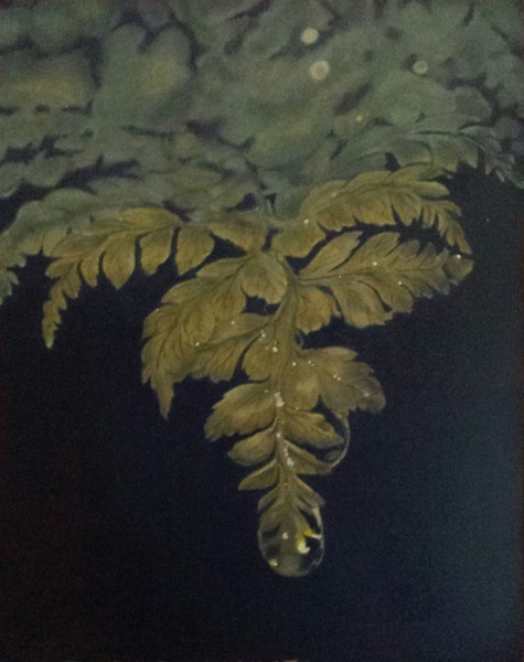 FERN