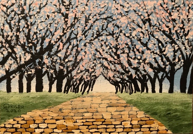 Cherry Blossom Trees in park
