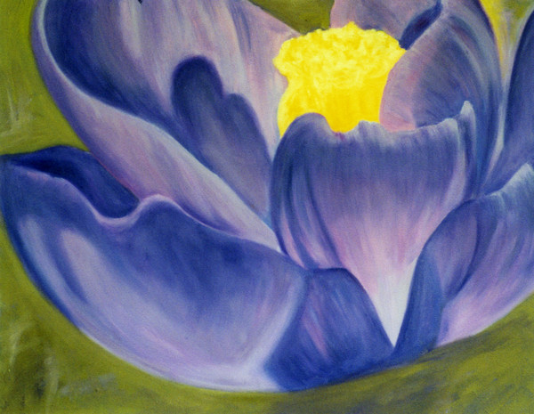 Charming Crocus