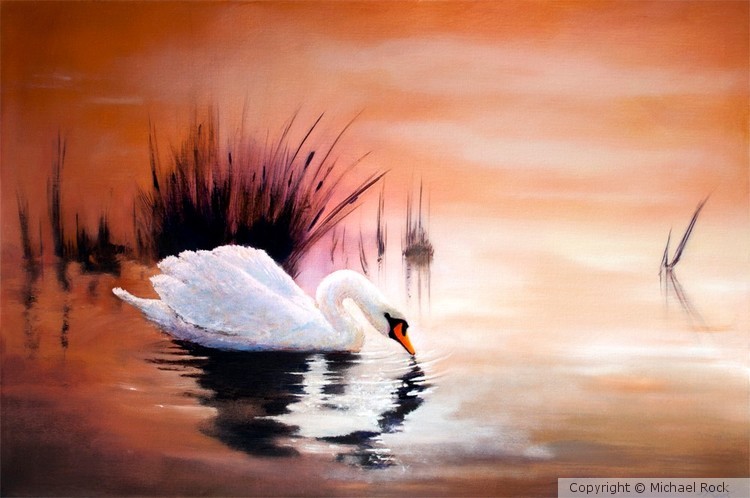 SUNRISE ON SWAN LAKE