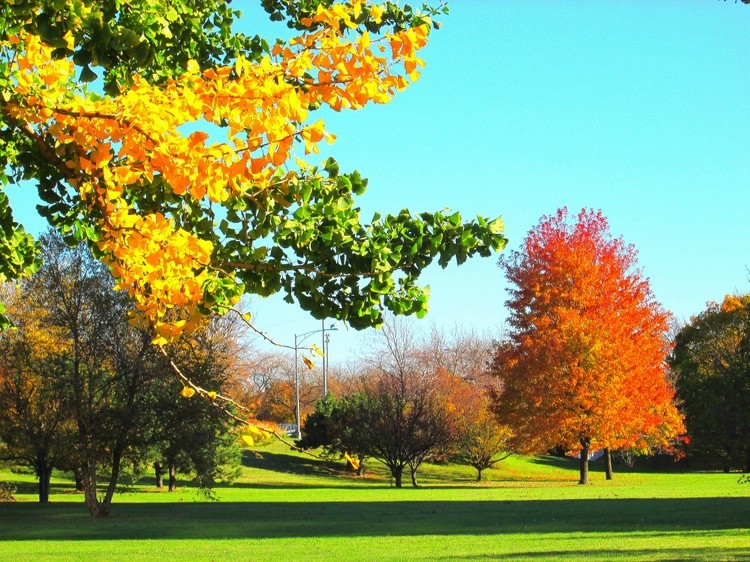 Autumn in Lincoln Park, Chicago