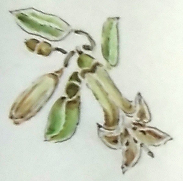 Flowering Autumn Olive Watercolor