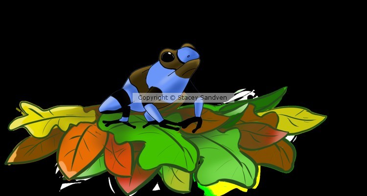 (Request) Dart frog
