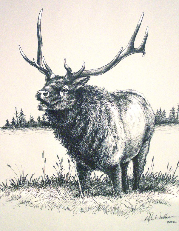 Elk call