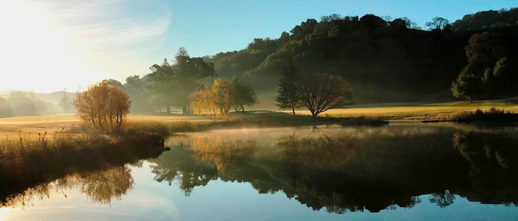 Pond on #9 Dawn - December 2017