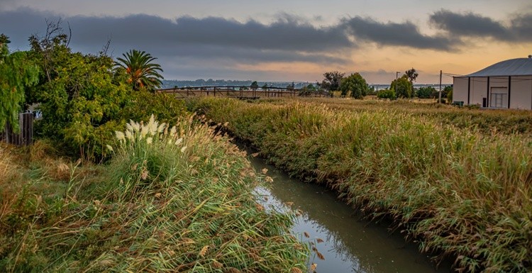 Alhambra Creek - September 15  2025