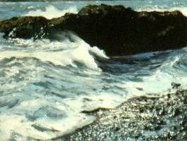 Rocky Shore