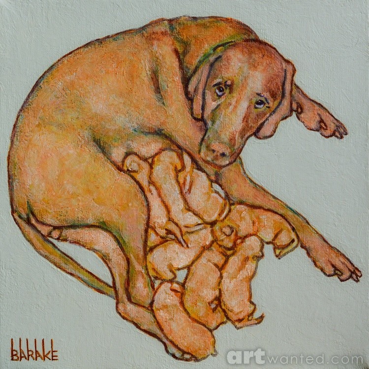 Hungarian Vizsla Maternity
