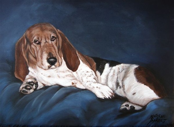 Lounging Basset