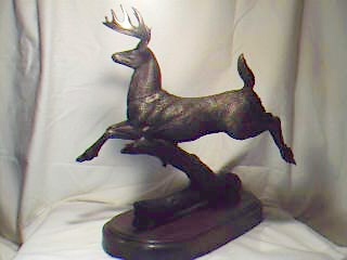 Woodland Deer