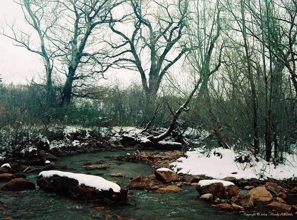 Natures Blanket