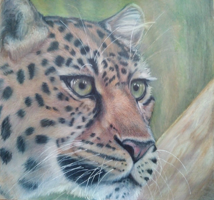 LEOPARD